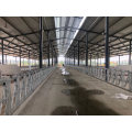 Steel structure farm house sandwich panel wall barton chicken house Poultry shed Building